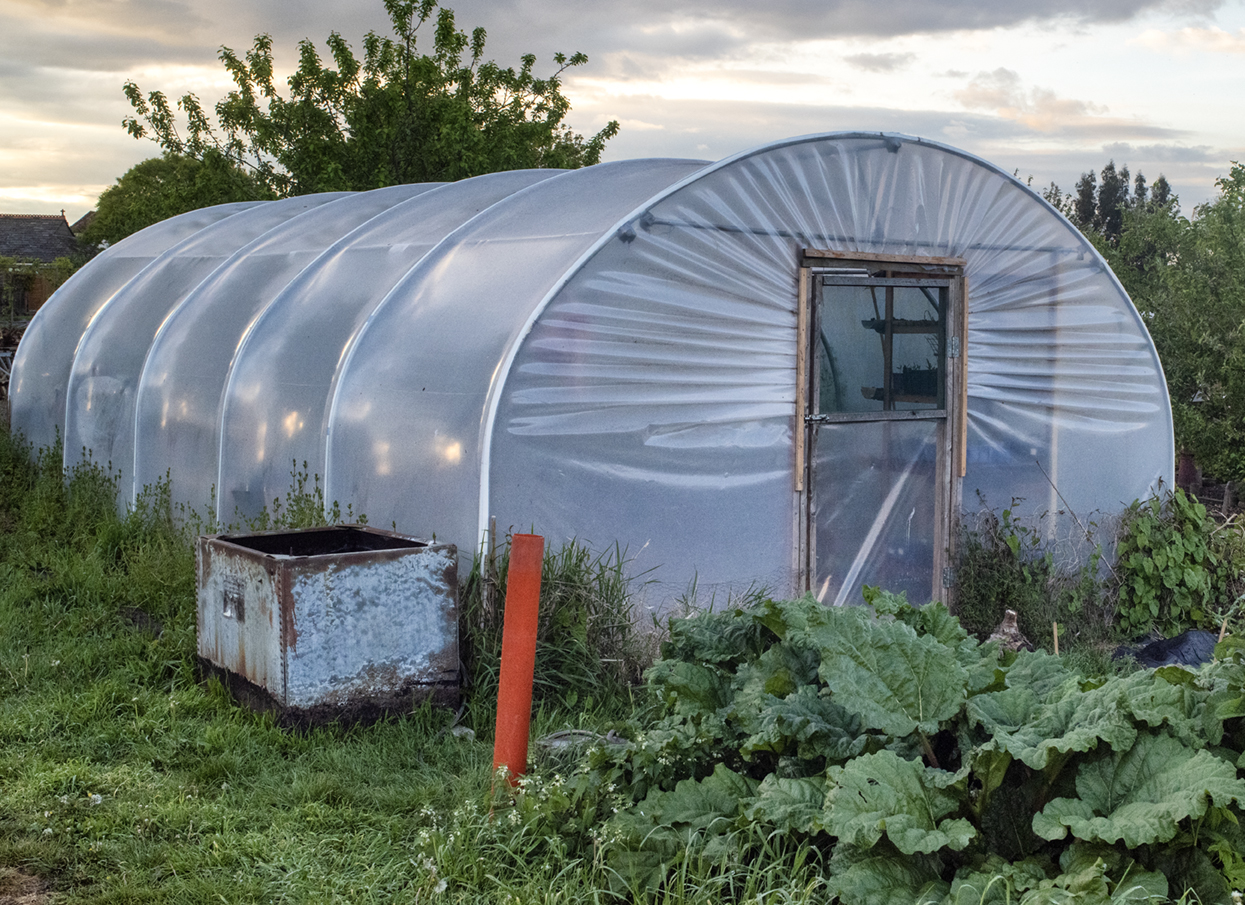 image of polytunnel